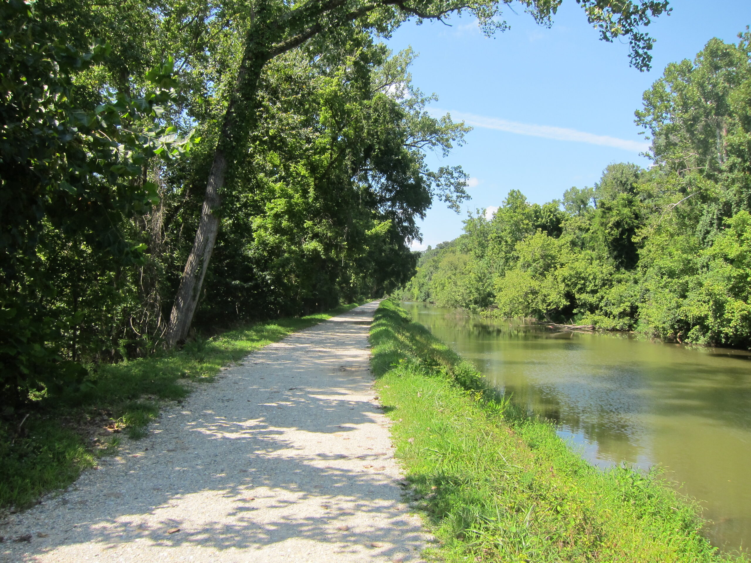 A path along the side of a river with trees in the background.